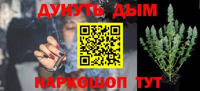 СК Дубна