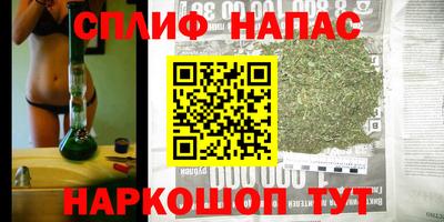 СК Дубна