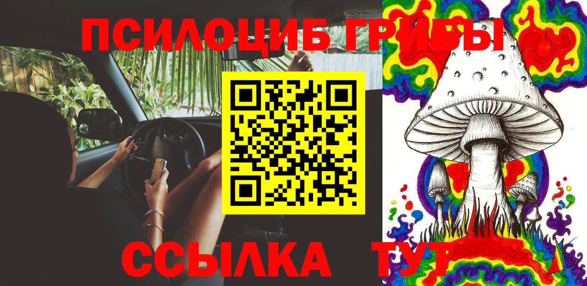 Галлюциногенные грибы Psilocybine cubensis  Вход с VPN  Курчалой  Псилоцибиновые грибы Cubensis 