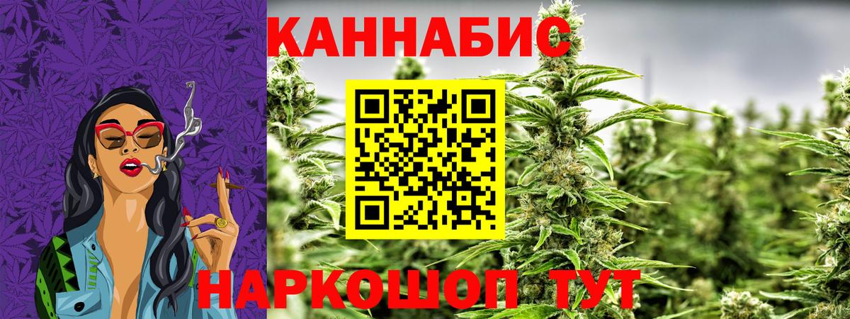 Каннабис конопля  Вход с VPN  Курчалой  Каннабис план  Шишки марихуана марихуана  Канабис индика 